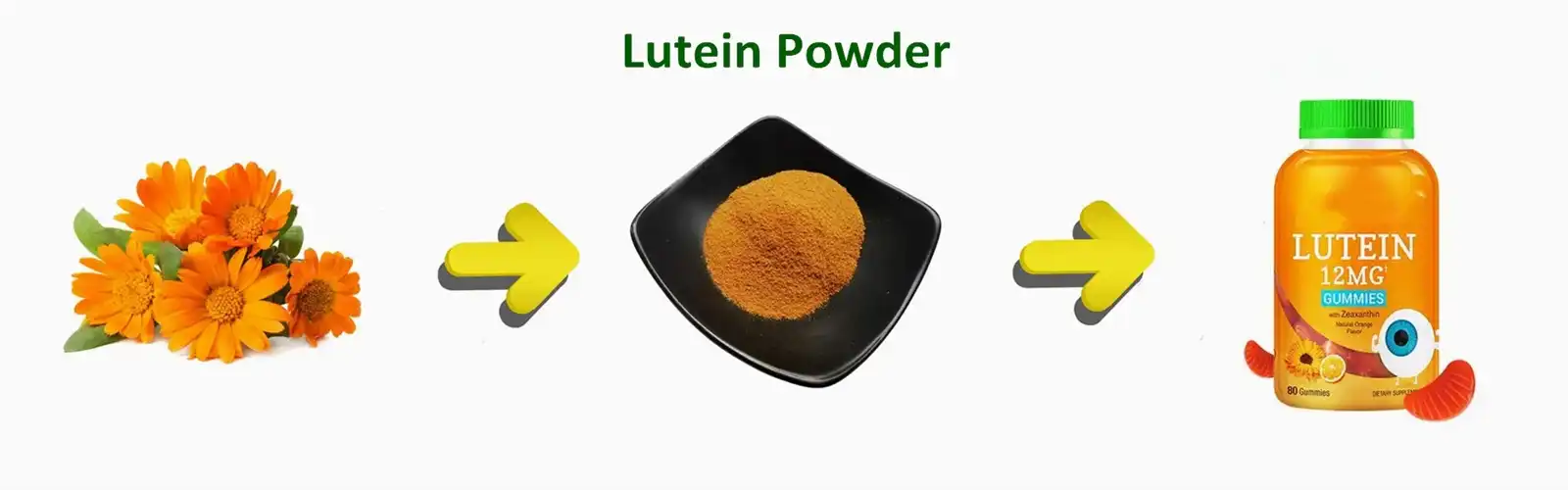 Pure Lutein Powder