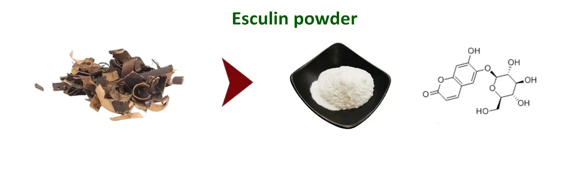 Esculin Esculin