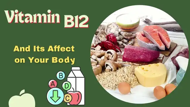 The source of  Vitamin B12