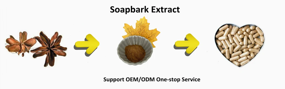 Soapbark extract