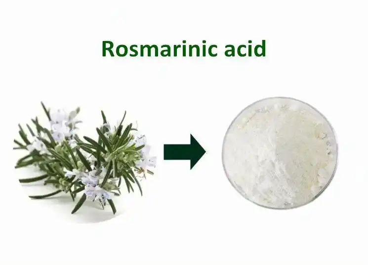 Rosmarinic acid Rosmarinic acid