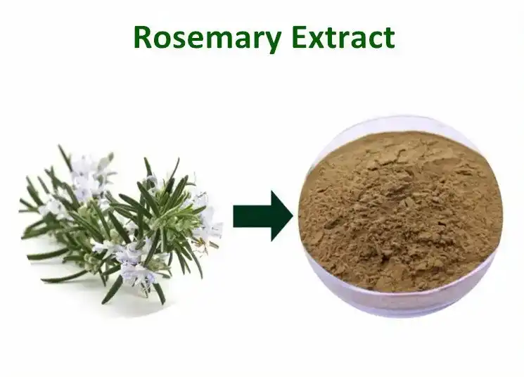 Rosmarinic acid Rosmarinic acid