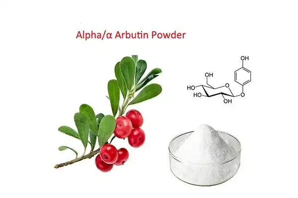 alpha arbutin powder