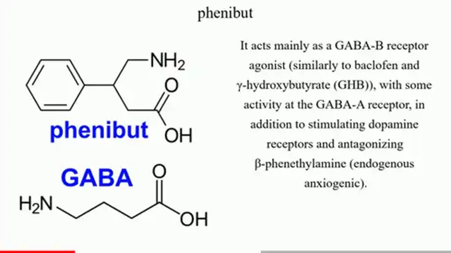 What is Phenibut