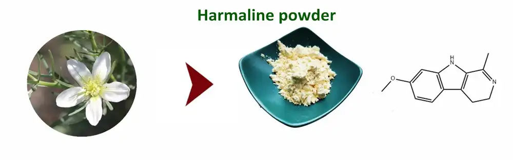 Harmaline Powder