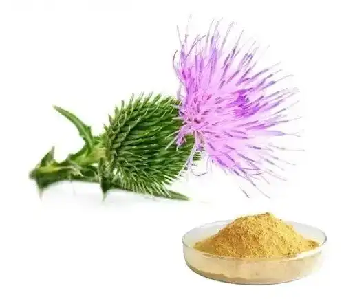Silymarin Powder Silymarin Powder