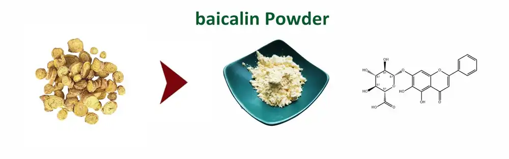 baicalin Powder