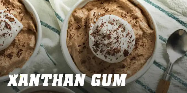 Xanthan Gum