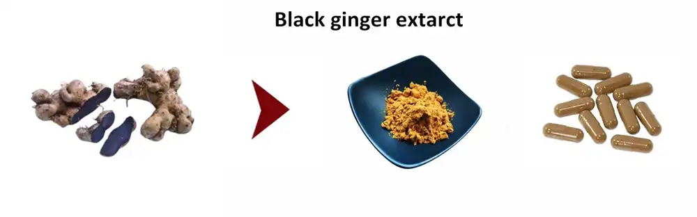 black Ginger extract