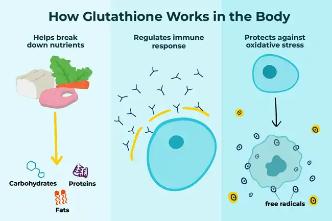 L Glutathione 