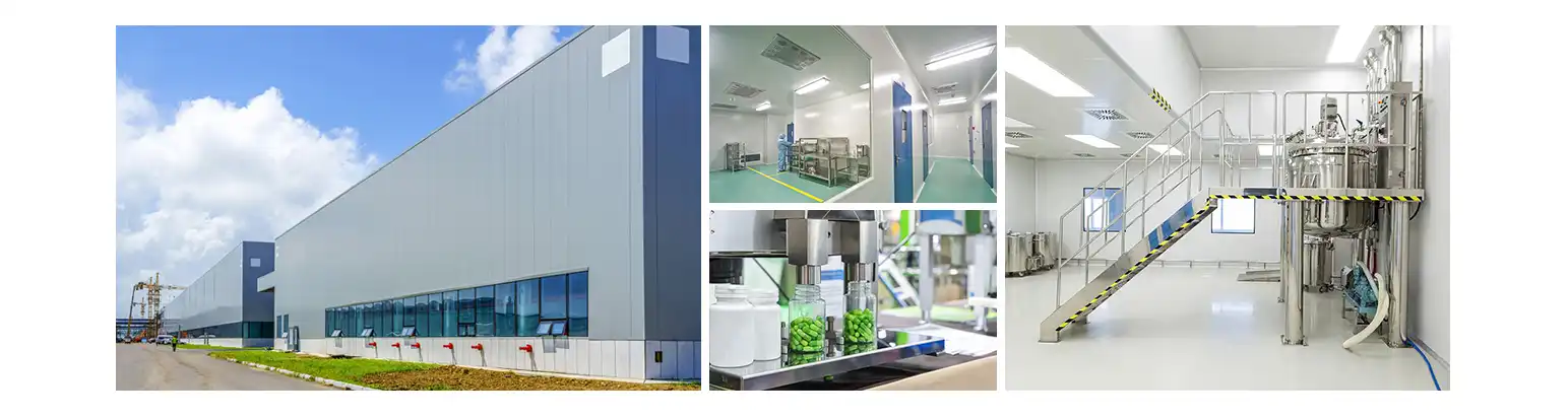 Chlorella Powder factory