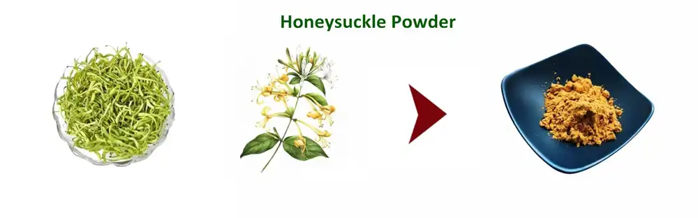 Honeysuckle Powder