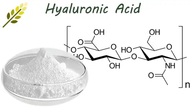 Hyaluronic Acid Powder