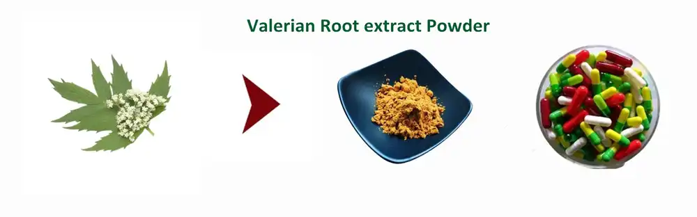 Valerian Root extract