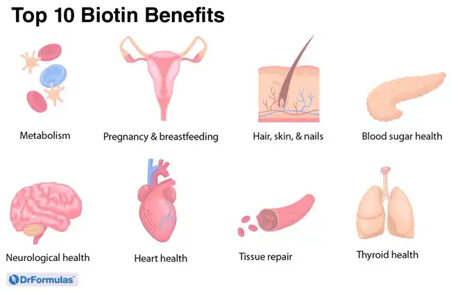 biotin powder benefits