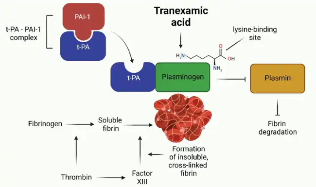 Tranexamic Acid bulk