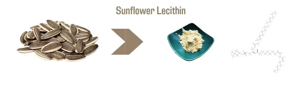 Sunflower Lecithin