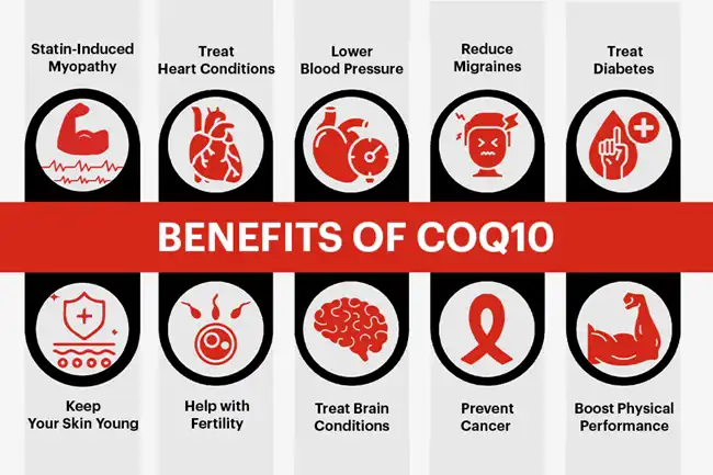 coenzyme q10 benefits