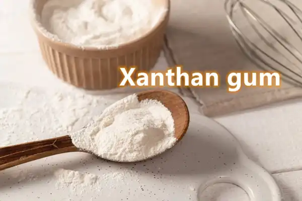 Xanthan Gum powder