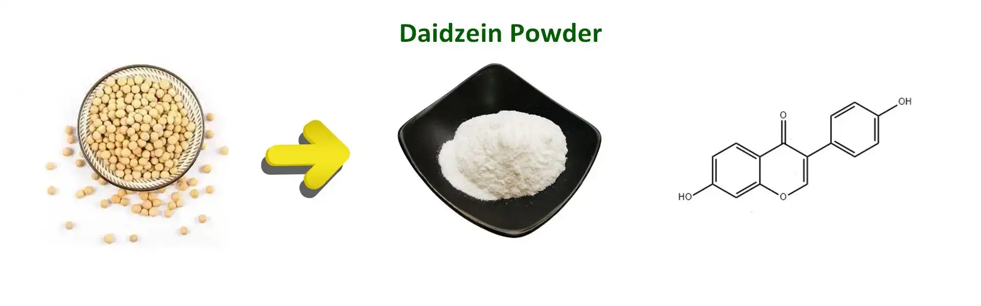 98% Daidzein Powder