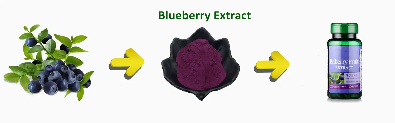 blueberry Extract