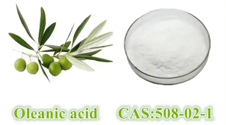 Oleanolic Acid Powder