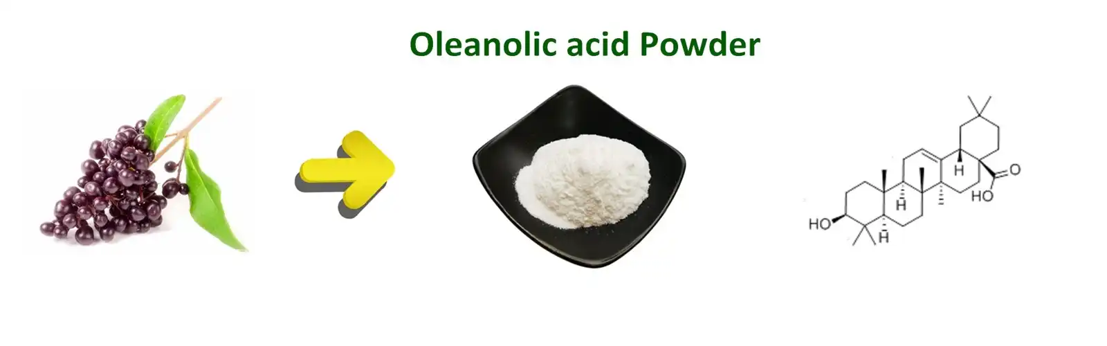 Oleanolic Acid 98%