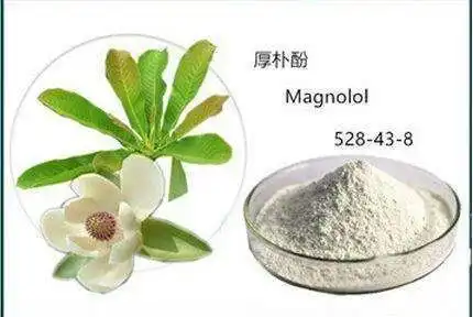 Magnolol Powder