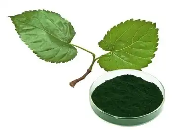 Chlorophyll A powder Chlorophyll A powder