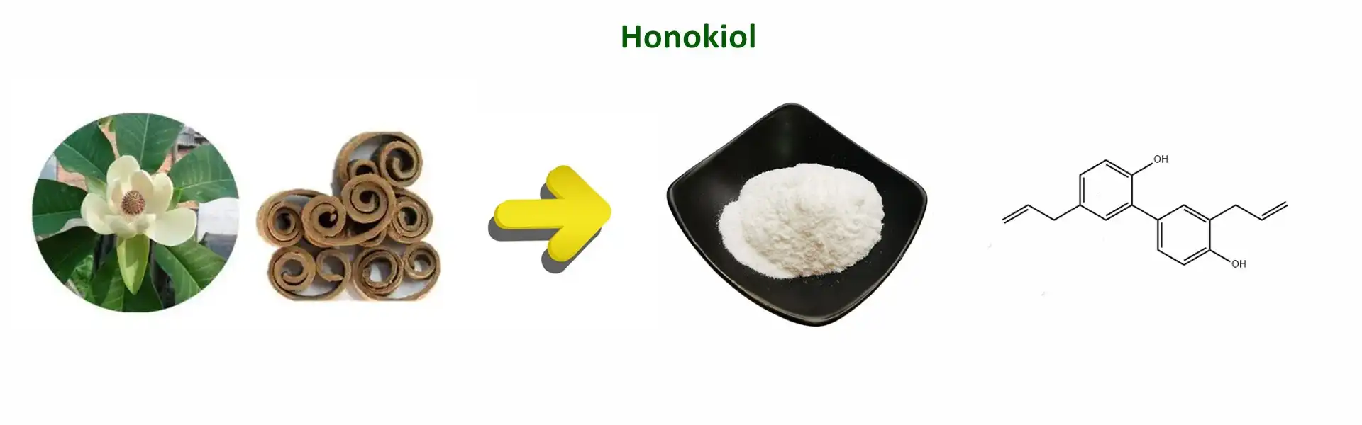 Honokiol Powder