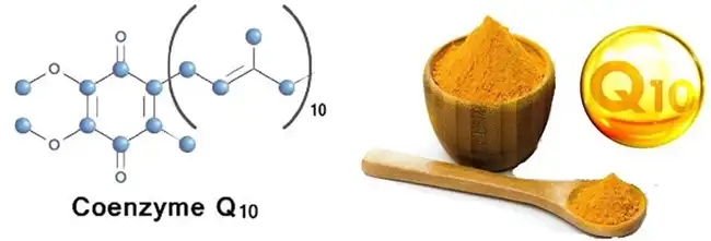 Q10 Coenzyme powder