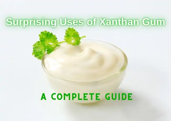 Xanthan Gum bulk