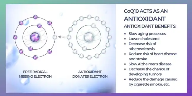 coenzyme q10 powder