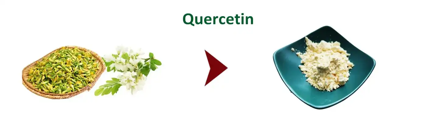 Quercetin powder