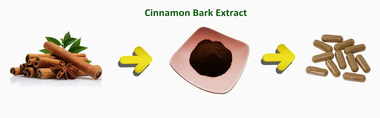 Cinnamon extract