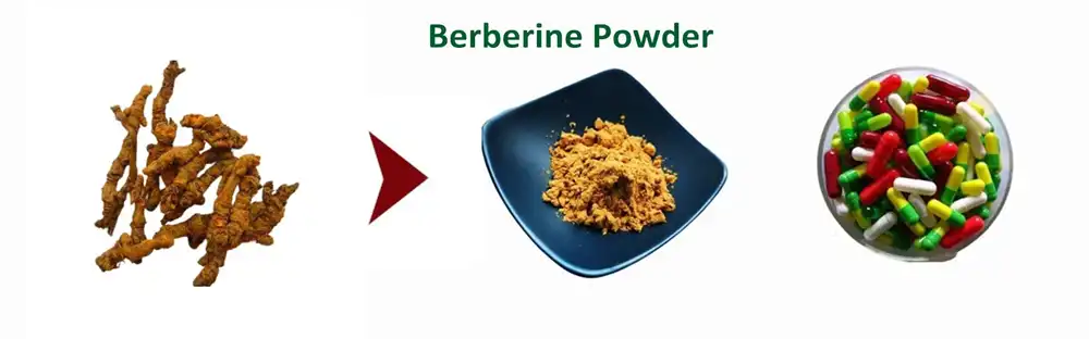 Berberine Powder