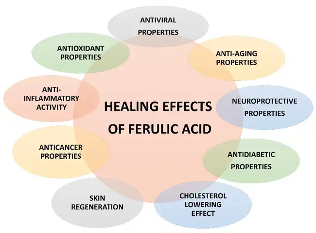 ferulic acid benefits ferulic acid benefits