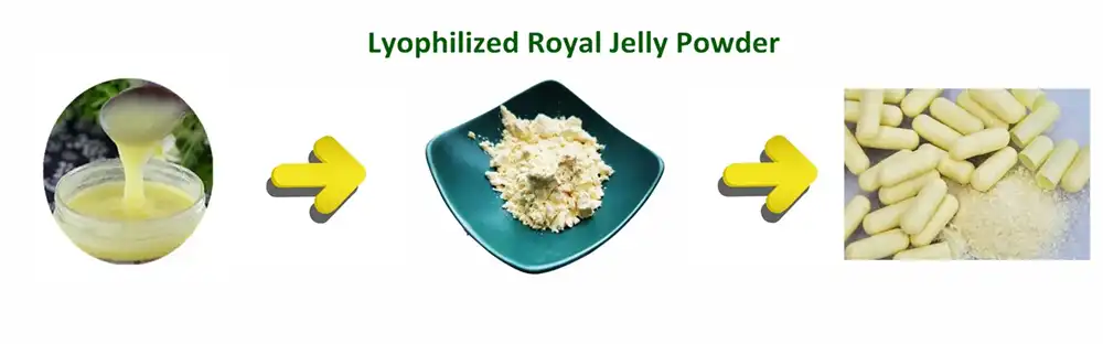 Lyophilized royal jelly powder