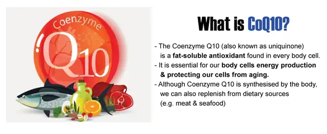 what is coenzyme q10 what is coenzyme q10