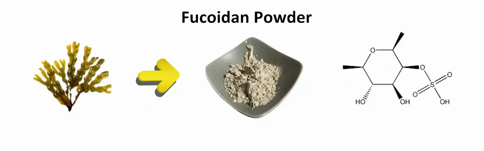 Fucoidan Powder