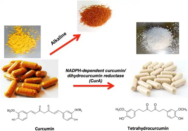 Tetrahydrocurcumin Powder