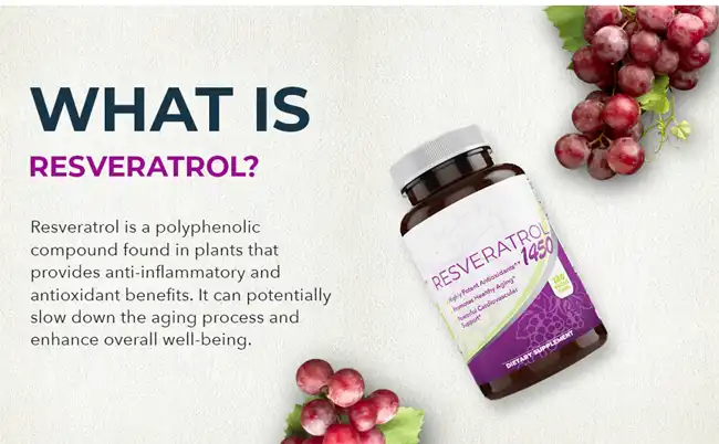 what is Resveratrol Powder