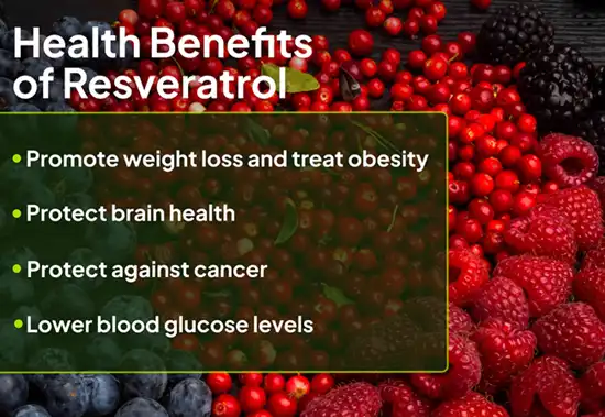 benefits of Resveratrol Powder