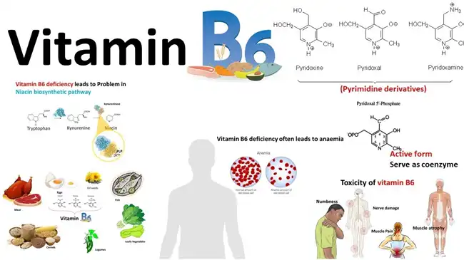 b6 vitamin