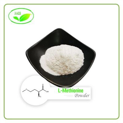 l methionine Powder